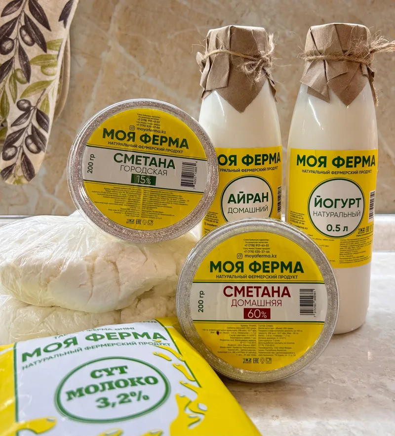 Ассортимент «Моя ферма»: сметана, айран, йогурт, творог и молоко