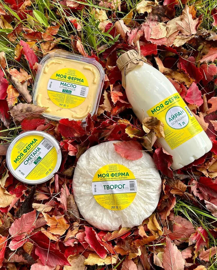 Готовая молочная продукция: молоко, творог, сыр и масло